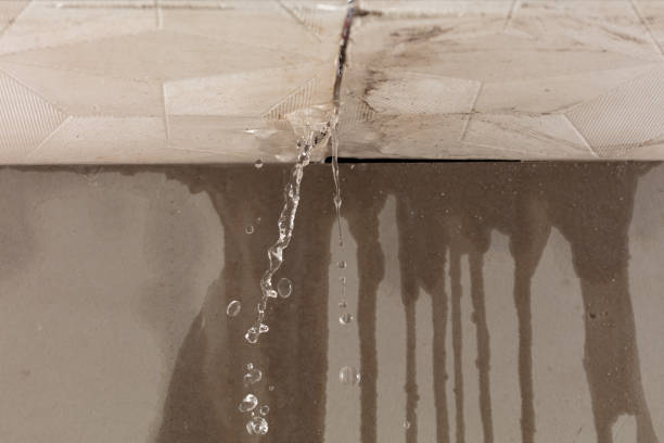 Professional Burst Pipe Cleanup technician working in Rice, TX